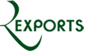 RV Exports logo